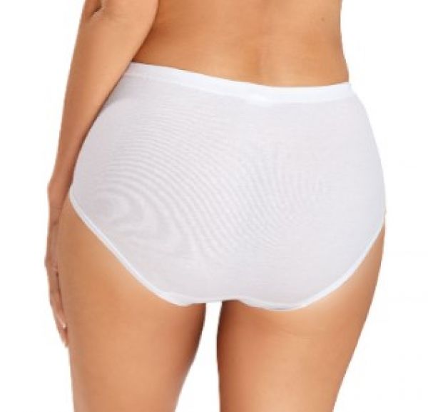 223-113 | Comtessa Damen Taillen Slip weiss
